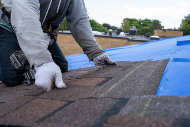 Best Residential Roofing Contractor  in Nahunta, GA