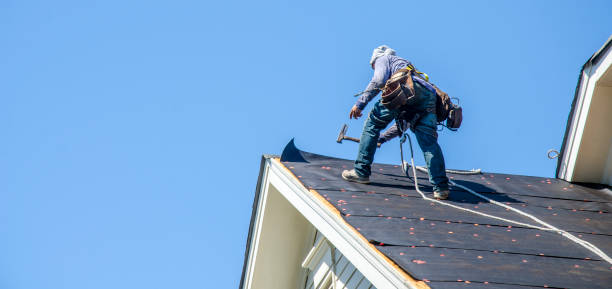 Best Roof Maintenance Services  in Nahunta, GA